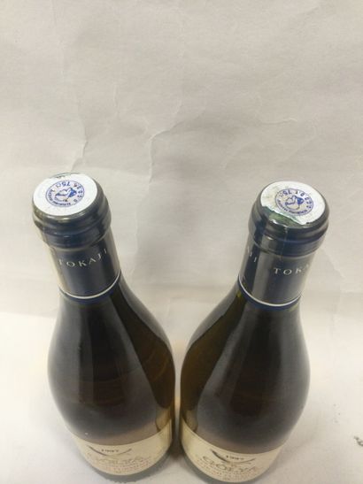 Un Lot de 2 Bouteilles de Golya Tokaji Furmint,...