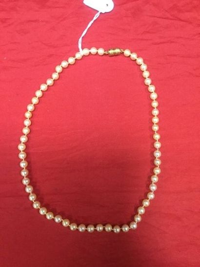 Collier de perles de culture gold en choker,...