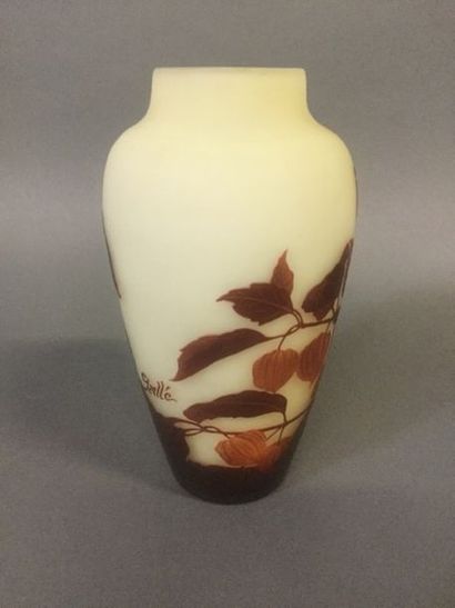 Gallé, vase aux physalis, ht. 26cm