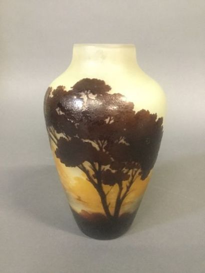 Gallé, vase au paysage, décor intercalaire,...