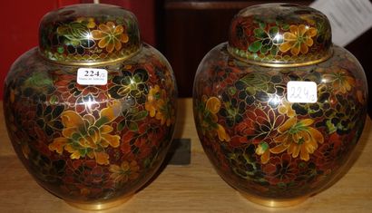 224- Paire de pots couverts en cloisonné