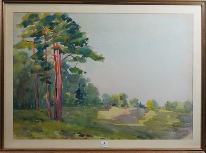 8- ''Les pins'' Aquarelle sur papier 37 x...