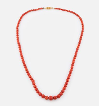 142- Necklace of falling red coral beads....