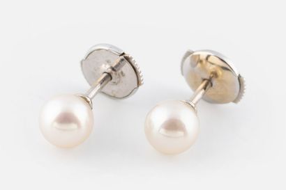 106- Pair of white gold earrings set with...