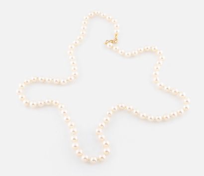 107- Pearl choker necklace. Yellow gold setting....