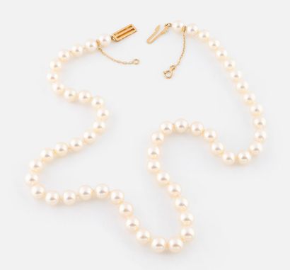65- Cultured pearl choker necklace. Yellow...