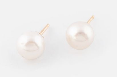 104- Pair of yellow gold ear studs set with...