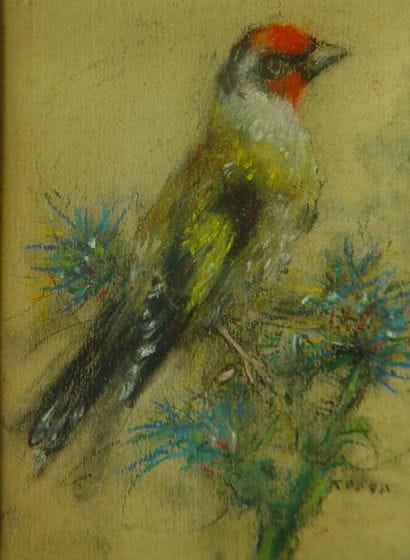 17- Radka KOEVA

''Oiseau sur la branche''

Pastel...