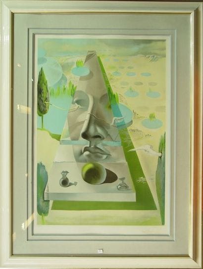 80- DALI (d'après)

''Visage''

Lithographie

100...