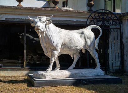 D’après Isidore BONHEUR (1827-1901)
Taureau

Plâtre...