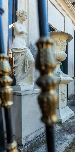 Moulage d’après l’antique

Venus de Milo

Plâtre...