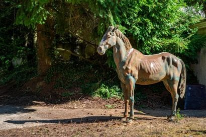Élément de décoration d’extérieur
Cheval...