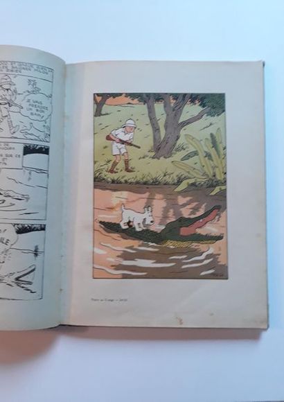 Tintin N&B - Au Congo
Edition Casterman A14...