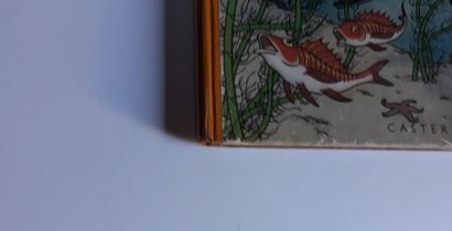 TINTIN
Le trésor de Rackham Le Rouge : Edition...