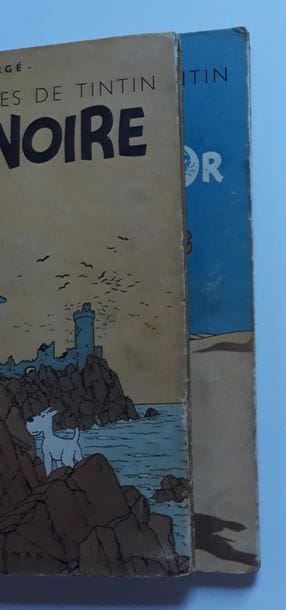 TINTIN
ensemble de 2 albums : L'Ile noire...