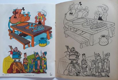 Astérix 
album à colorier : Superbe livre...