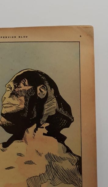 Epervier bleu 
Le pharaon des cavernes :...