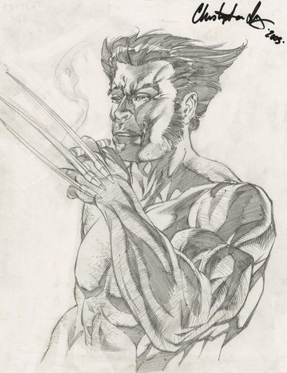 Chris IVY
Portrait de Wolverine
Mine de plomb...