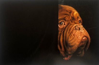 Four shots. Fine Art prints, 40 x 30 cm (including...