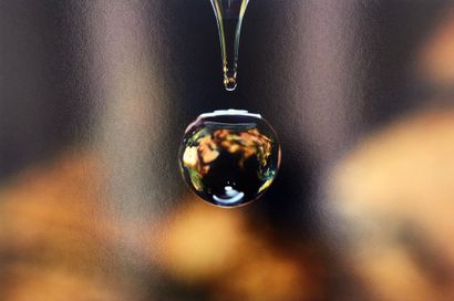 Four shots. Fine Art prints, 40 x 30 cm (including...