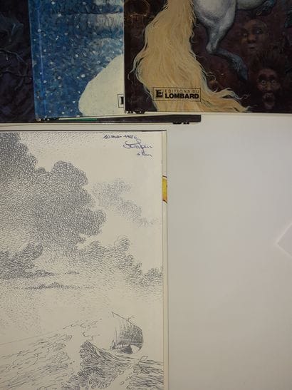 Thorgal – Ensemble de 12 albums : 3, 8 (bon...