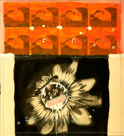 BUZON Edouard
Image 4 / Photo, lacquer and...
