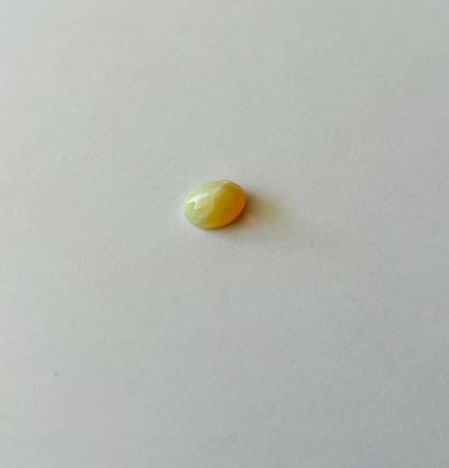 

椭圆形蛋白石，重2.99克拉 - 可能出处为埃塞俄比亚 - 未加热 - 未处理

尺寸：12.04...