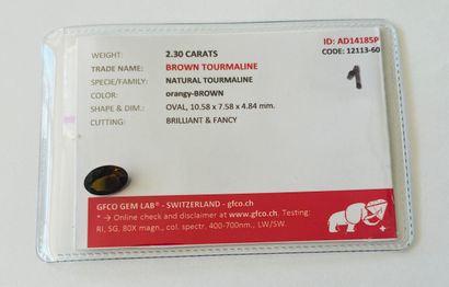 重达2.30克拉的棕橙色碧玺，可能来自马达加斯加。具有GFCO证书（瑞士实验室）N°AD14185P...
