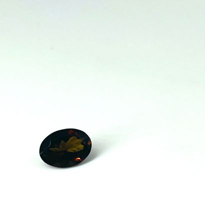 重达2.30克拉的棕橙色碧玺，可能来自马达加斯加。具有GFCO证书（瑞士实验室）N°AD14185P...