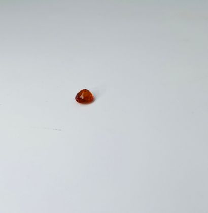 重达1.70克拉的美丽的椭圆形橙色斯贝赛特石榴石