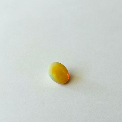 

椭圆形蛋白石，重2.99克拉 - 可能出处为埃塞俄比亚 - 未加热 - 未处理

尺寸：12.04...