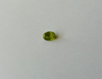 可能来自缅甸的 