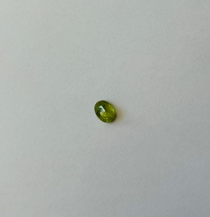 可能来自缅甸的 