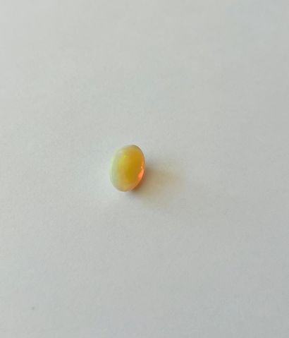 

椭圆形蛋白石，重2.99克拉 - 可能出处为埃塞俄比亚 - 未加热 - 未处理

尺寸：12.04...