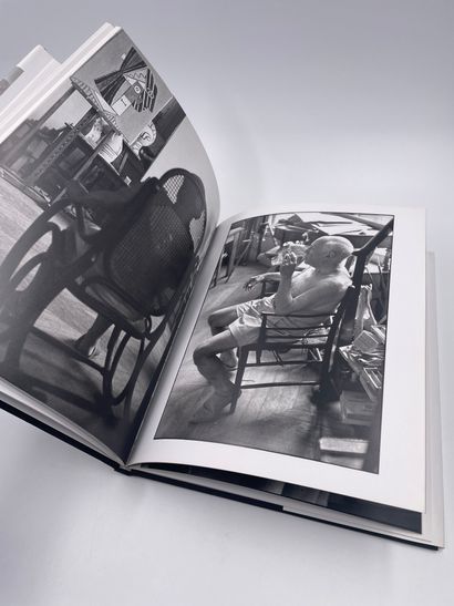 1 Volume : Picasso à l'Œuvre