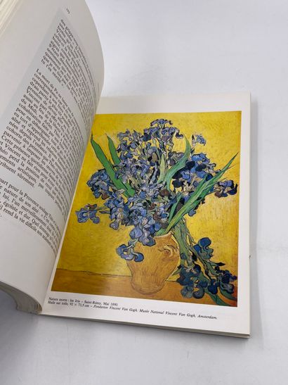 1卷：《梵高或霍兰达人》，Didier Porot，Geidy编辑，1989年。

