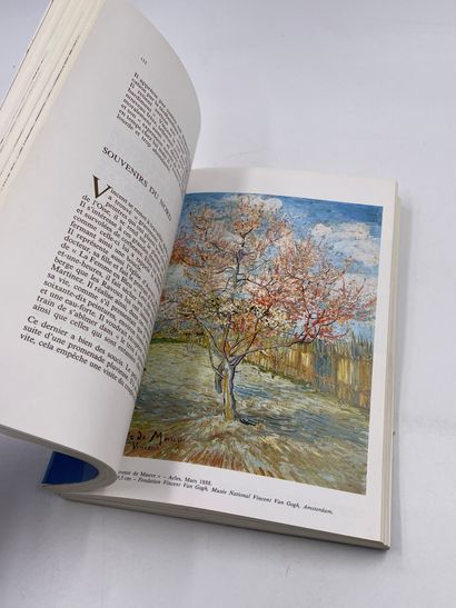 1卷：《梵高或霍兰达人》，Didier Porot，Geidy编辑，1989年。

