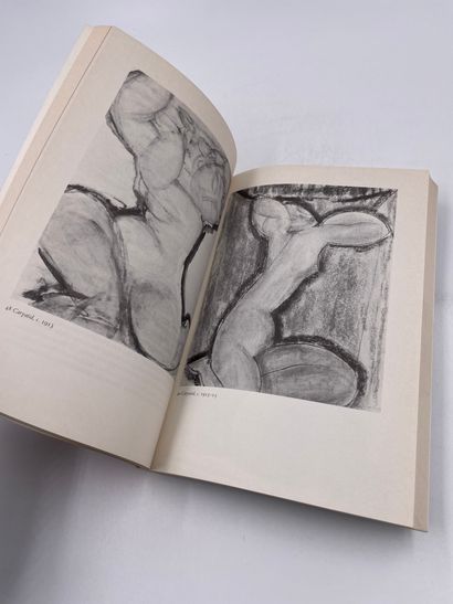 1卷：《莫迪里阿尼》，卡罗尔-曼编，泰晤士和哈德逊出版社，1980年，英文书。

