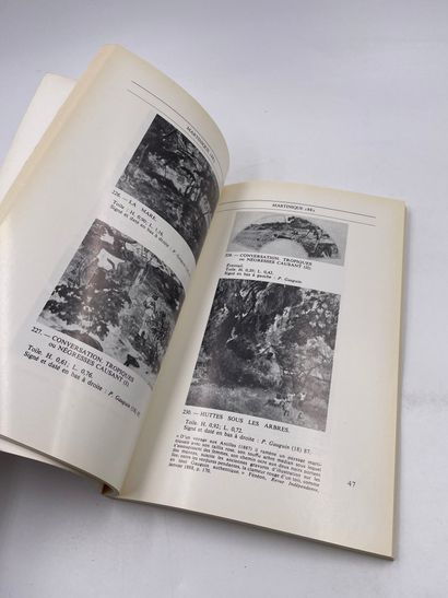 1卷：《马提尼克岛上的高更》，罗杰-库奇，《他的绘画-绘画-雕塑-陶瓷-赝品-信件-展览目录的完整想象博物馆》，Calivran...