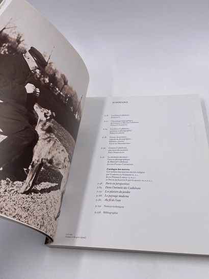 2卷。 
- Dans l'Intimité des Frères Caillebotte,...