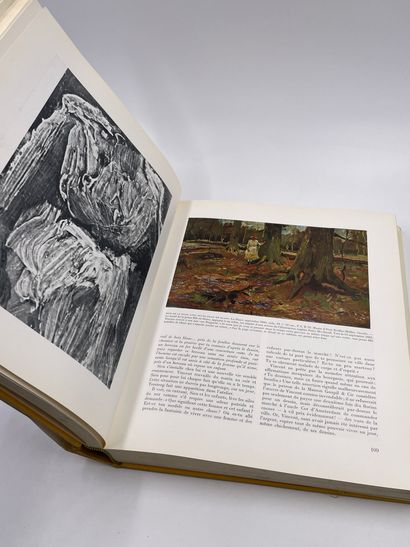 1卷：《梵高，Le Mal Aimé》，Marc Edo Tralbaut，Edita...