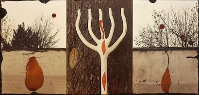 LEICK Joël
Untitled / 3 photographs enhanced...