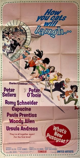 What's new pussycat ?
克莱夫-唐纳。1965.
104x205...