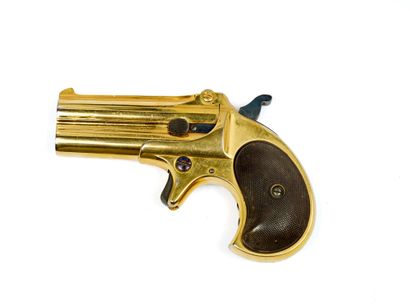* DERRINGER Remington num2 手枪。
系统有裂纹，口径 41...