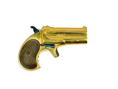 * DERRINGER Remington num2 手枪。
系统有裂纹，口径 41...