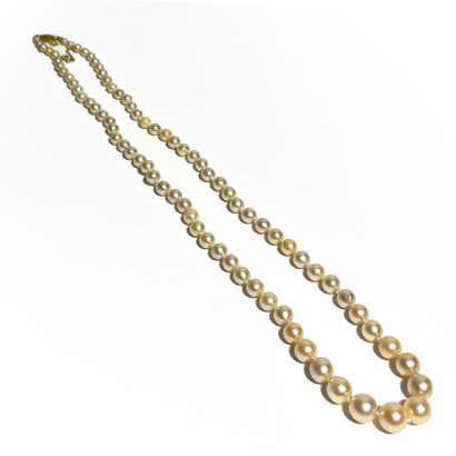Collier composé d'un rang de perles de culture...