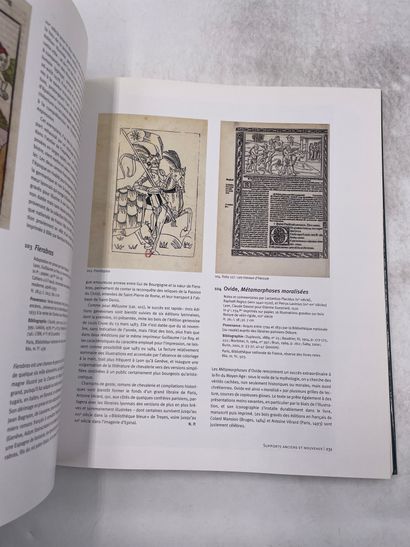 «France 1500 - Entre Moyen-âge et renaissance»...