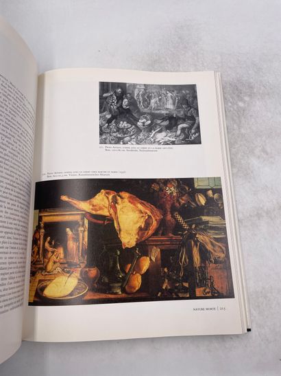 «Peintres Flamands en Hollandais» - Jan Briels...