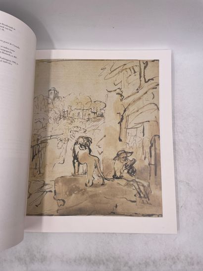 2 volumes with case (work in Italian) - 