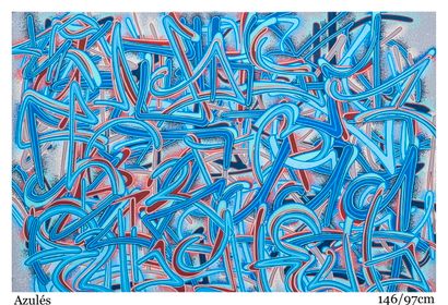 卢卡斯-德洛梅
阿兹ulated 
画布作品
丙烯喷漆和丙烯颜料与马克笔的混合物...
